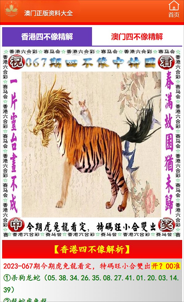 澳門必開一肖中特，揭秘生肖彩票的魅力與策略，揭秘澳門生肖彩票的魅力，必開一肖中特與策略解析