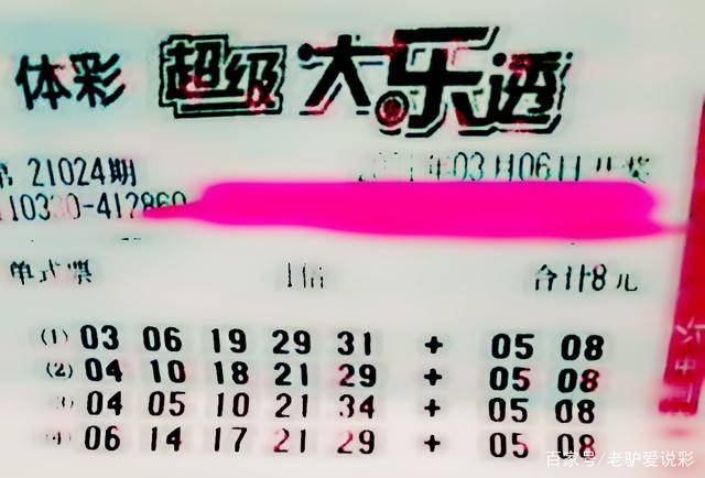 王中王024期指一生肖，深度解讀與SEO優(yōu)化策略，王中王024期生肖深度解讀與SEO優(yōu)化策略全攻略