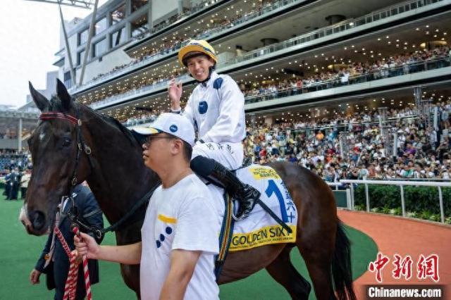 香港特馬王資料免費公開，揭秘背后的秘密，香港特馬王資料揭秘，免費公開背后的秘密