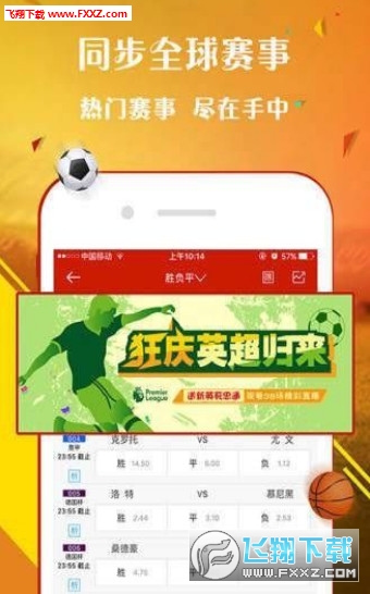 王中王一肖，探尋背后的故事與影響力（2019年），王中王一肖，背后的故事與影響力揭秘（2019年）
