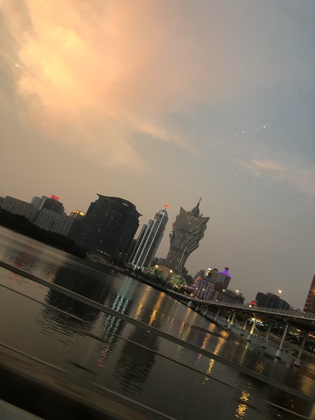 澳門今晚必開(kāi)一肖一特，深度解析與預(yù)測(cè)，澳門今晚生肖特碼深度解析與預(yù)測(cè)，一肖一特必開(kāi)趨勢(shì)探討
