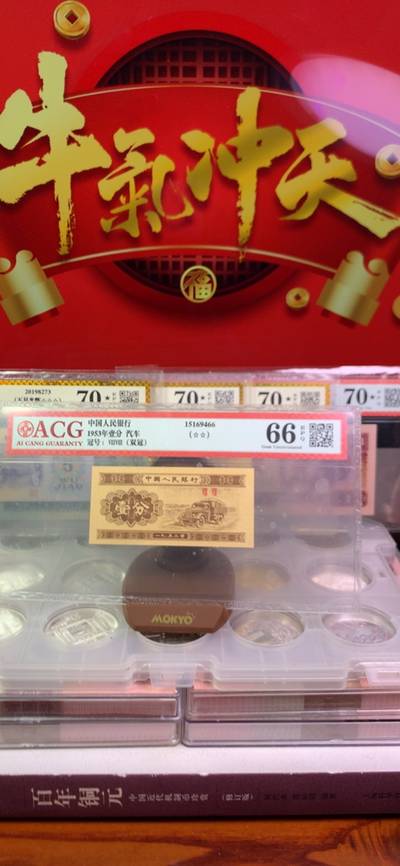 王中王廣東一肖，探尋背后的故事與奧秘，王中王廣東一肖，背后的故事與奧秘探尋