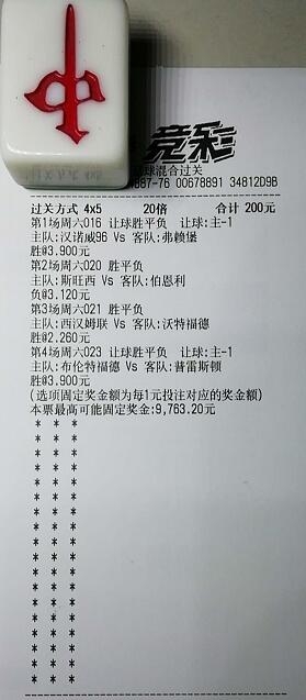 揭秘買一肖中獎(jiǎng)的賠率與風(fēng)險(xiǎn)，你真的準(zhǔn)備好了嗎？，揭秘買一肖中獎(jiǎng)背后的賠率與風(fēng)險(xiǎn)，你真的做好準(zhǔn)備了嗎？