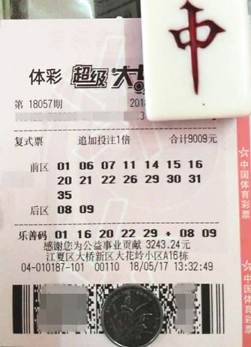 澳門六開彩天天開獎結果查詢，輕松掌握最新動態(tài)，澳門六開彩最新開獎結果查詢，輕松掌握每日動態(tài)