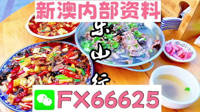 新澳全年免費資料大全——探索與學習的不竭源泉，新澳全年免費資料大全，無盡的學習資源寶庫