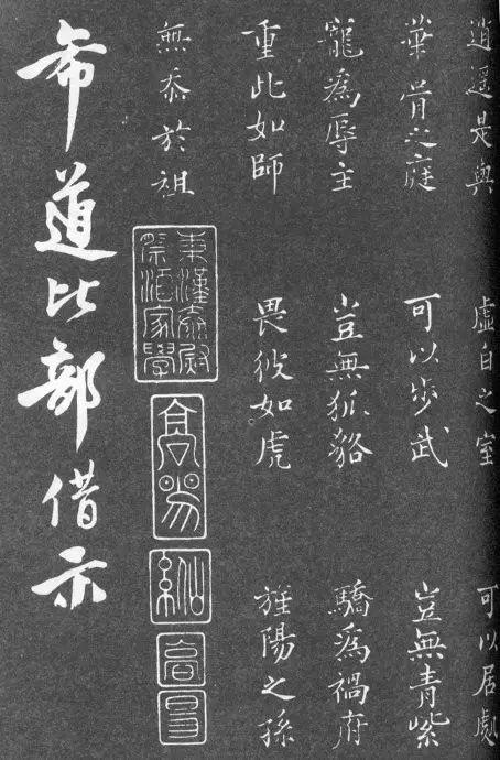 一肖二碼中特的意思解析，一肖二碼中特的意思深度解析
