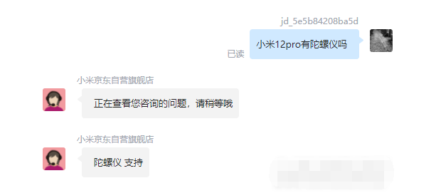 王中王一肖碼，探索關(guān)鍵詞背后的奧秘，王中王一肖碼，揭秘關(guān)鍵詞背后的奧秘