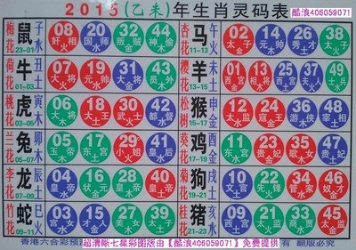 揭秘2025十二生肖與數(shù)字彩票的神奇聯(lián)系——49碼表全解析，揭秘十二生肖與數(shù)字彩票的神秘聯(lián)系，2025年49碼表深度解析