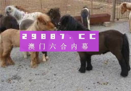 王中王平特一肖四不像圖，深度解析與SEO優(yōu)化策略，王中王平特一肖四不像圖，深度解析與SEO優(yōu)化策略探討