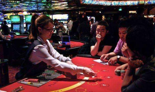 澳門金牛王中王一肖，探索背后的神秘與魅力，澳門金牛王中王一肖，神秘魅力背后的探索