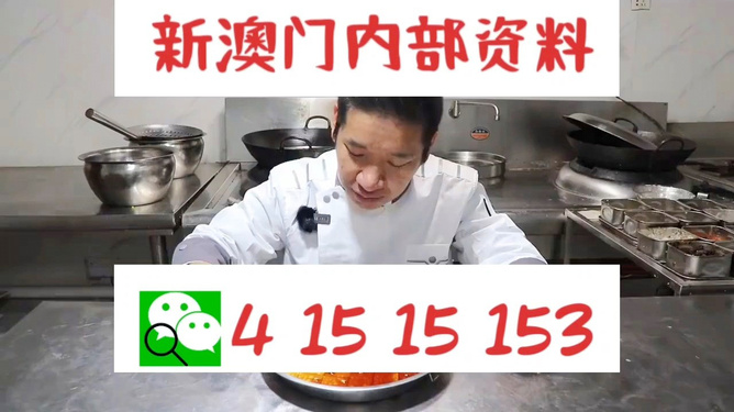管家婆一肖資料大全，深度解析與探索，管家婆一肖資料深度解析與探索大全