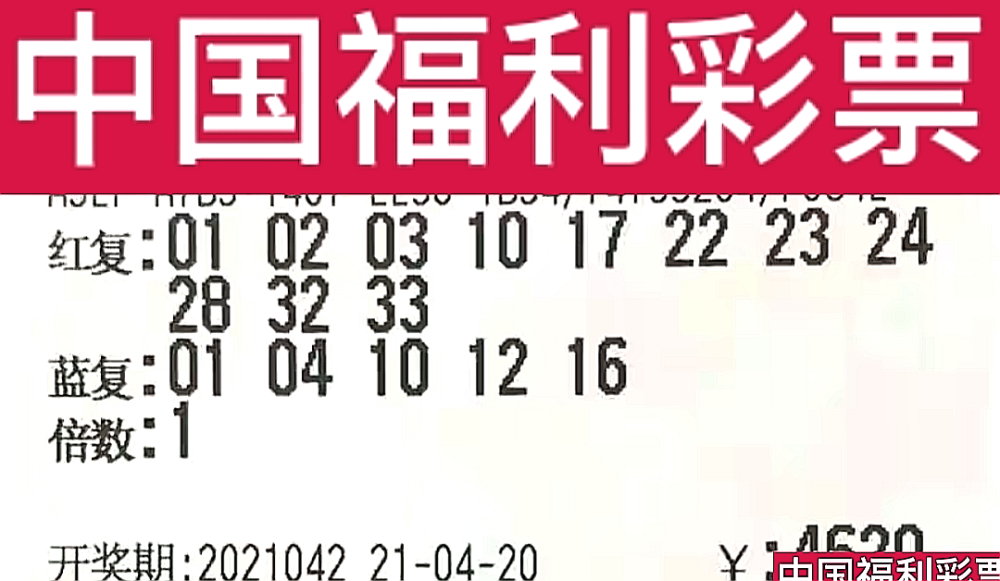 新奧門今晚開獎結(jié)果查詢第243期，全面解析與預測，新奧門第243期開獎結(jié)果解析與預測，今晚開獎揭秘