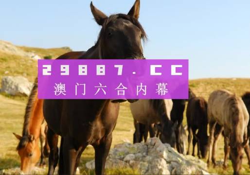 管家婆必開一肖一碼，澳門精準(zhǔn)分析與預(yù)測，管家婆必開一肖一碼，澳門精準(zhǔn)分析與預(yù)測揭秘