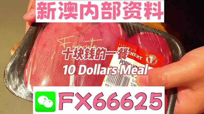 揭秘2025新奧精準正版資料，全方位解讀與SEO優(yōu)化策略，揭秘2025新奧精準正版資料，全方位解讀與SEO策略優(yōu)化指南