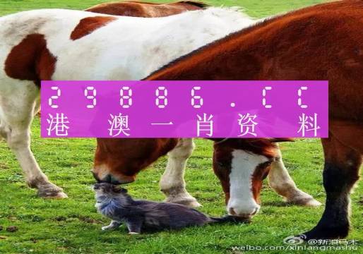 新奧門一肖一碼，揭秘精準(zhǔn)預(yù)測(cè)的秘密，揭秘新澳門一肖一碼精準(zhǔn)預(yù)測(cè)的秘密