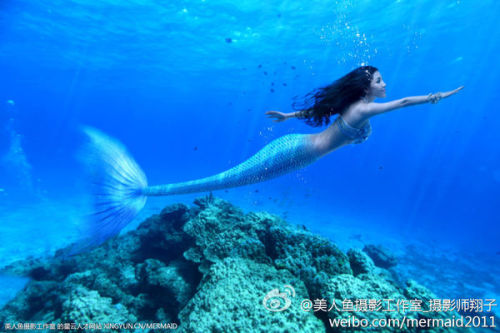 澳門美人魚最快開獎(jiǎng)結(jié)果圖——揭秘?zé)衢T彩票游戲背后的秘密，澳門美人魚彩票開獎(jiǎng)揭秘，最新結(jié)果圖與游戲背后秘密探索