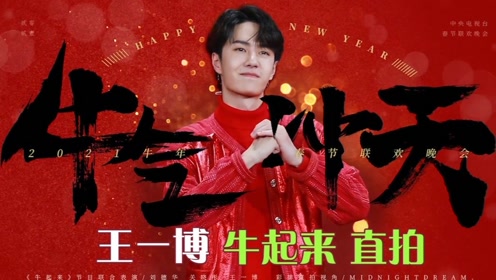 探尋王中王，揭秘發(fā)個王中王一肖中特背后的奧秘，揭秘王中王，探尋發(fā)個王中王一肖中特背后的神秘奧秘