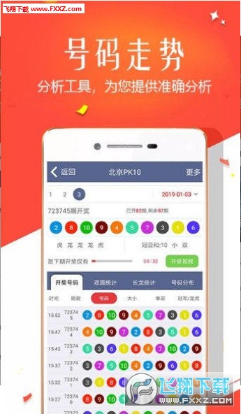 王中王四肖選一，揭秘選擇與優(yōu)化策略，王中王四肖選一，選擇與優(yōu)化策略的揭秘