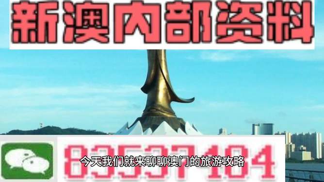 澳門最精準免費資料大全旅游團，探索澳門之旅的完美選擇，澳門最精準免費資料大全旅游團，探索澳門之旅的不二之選