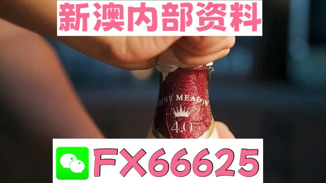 新澳門一碼一碼，揭秘精準(zhǔn)預(yù)測的秘密與真相，揭秘澳門一碼一碼精準(zhǔn)預(yù)測的秘密與真相