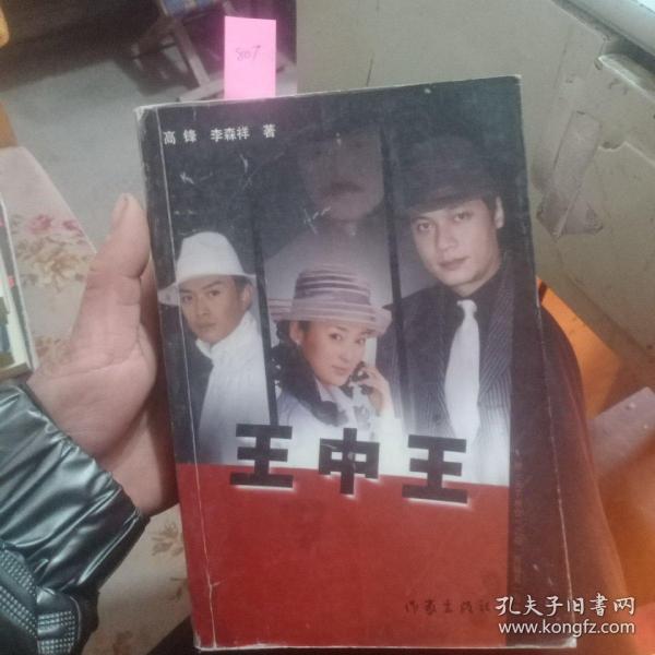 王中王資料一肖中天，深度解析與探索，王中王資料一肖中天，深度剖析與探索