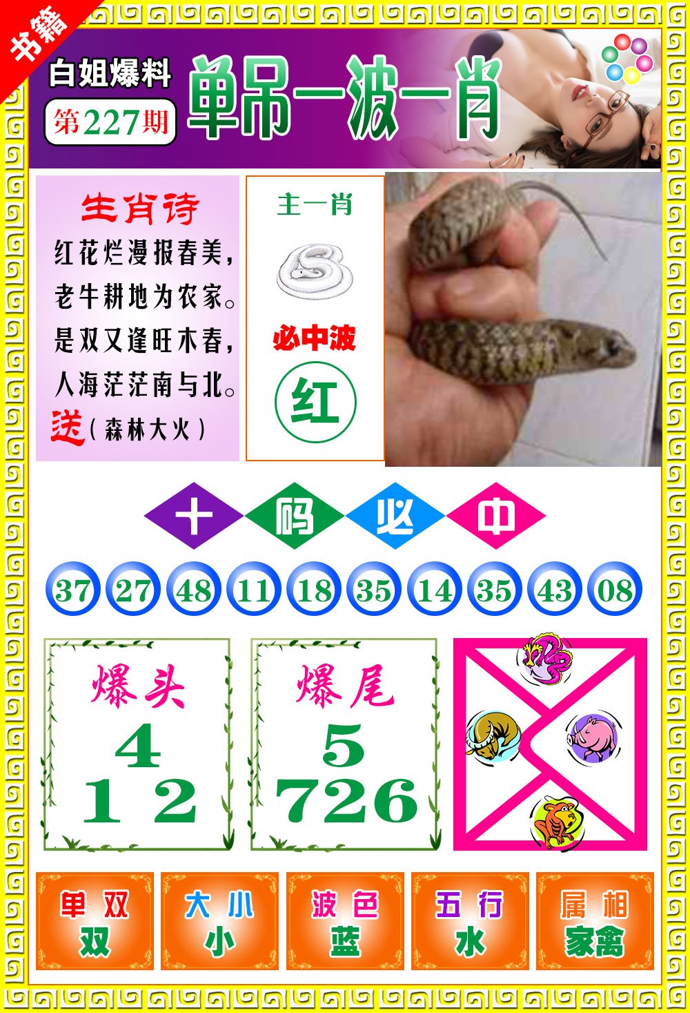 王中王免費開獎一肖結果，揭秘彩票背后的秘密，揭秘王中王彩票開獎內(nèi)幕，一肖結果背后的秘密揭曉