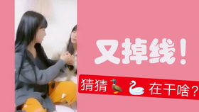 王中王欲錢詩猜一肖，王中王欲錢詩暗示的生肖之謎