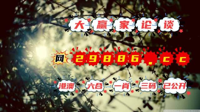 澳門今必開一肖一碼，深度解析與探索，澳門生肖一碼深度解析與探索