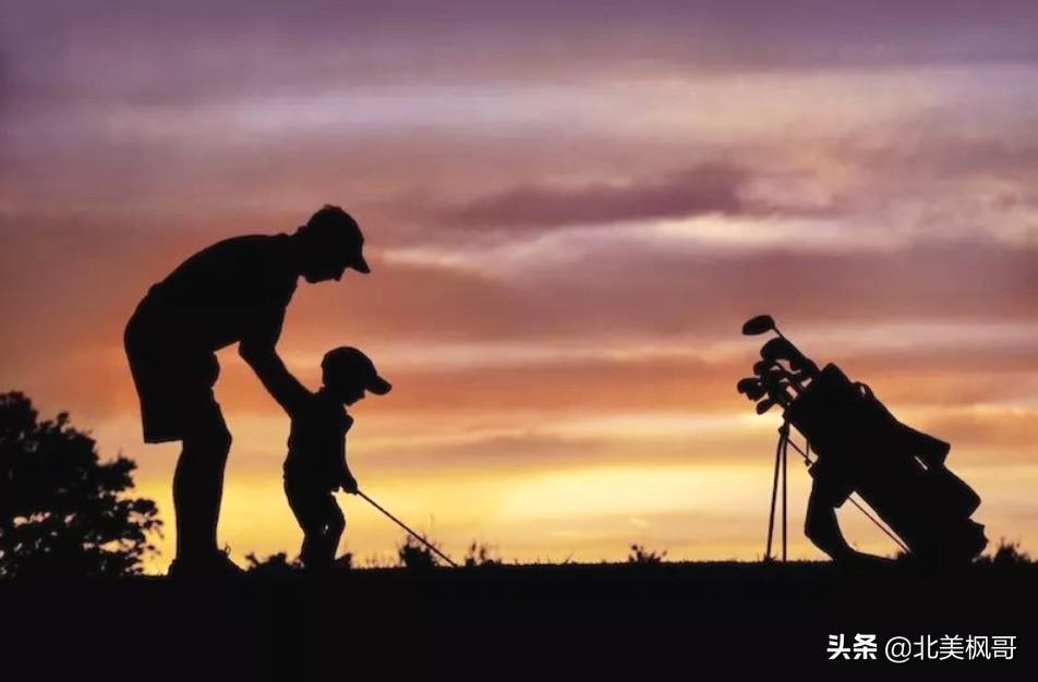 森林高手王中王與神秘生肖——深度解讀背后的故事與秘密，森林高手王中王與神秘生肖，故事背后的深度解讀與秘密探尋