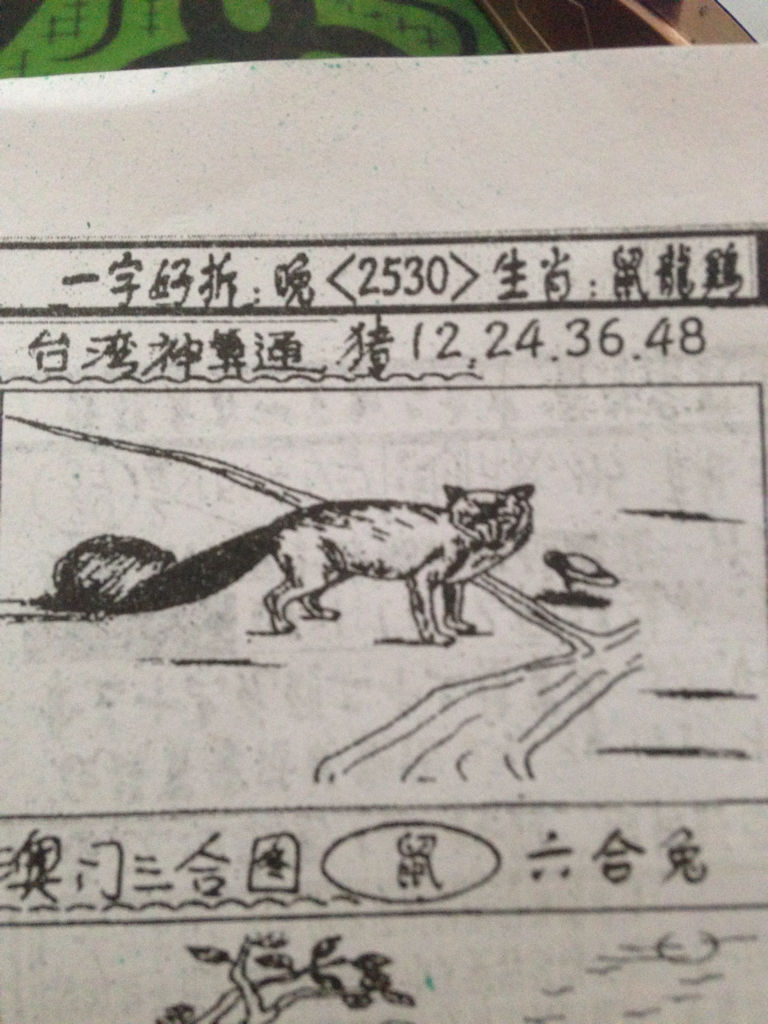 揭秘生肖奧秘，看圖猜一生肖劉伯溫的傳奇故事，揭秘生肖奧秘，劉伯溫傳奇故事中的生肖之謎探索
