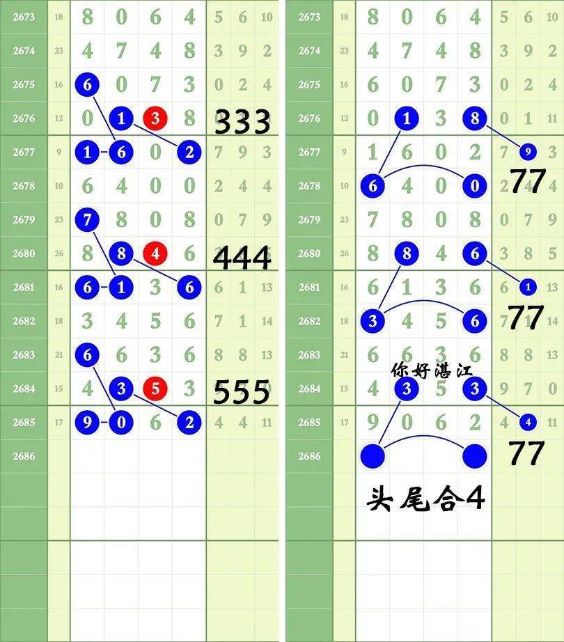 一肖三碼王中王絕密，揭秘背后的秘密與策略洞察，揭秘一肖三碼王中王絕密策略與背后秘密