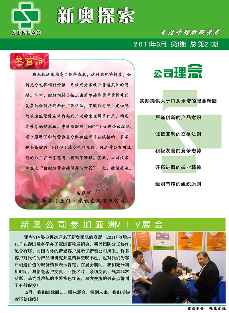 2025新澳正版資料精準(zhǔn)解析，2025新澳正版資料精準(zhǔn)解析手冊