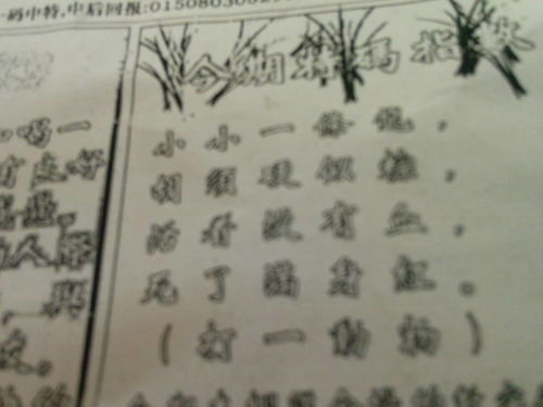 揭秘劉伯溫的一肖一特，探尋神秘傳奇背后的真相，劉伯溫傳奇揭秘，揭秘生肖之謎與獨(dú)特特質(zhì)背后的真相