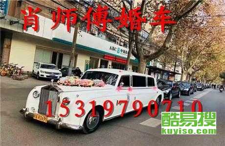王中王車奪平特一肖免費(fèi)——深度解析與探索，王中王車奪平特一肖，深度解析與免費(fèi)探索