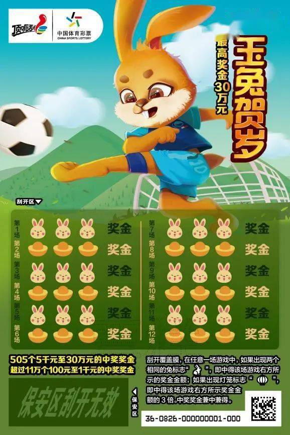 王中王一肖中特兔費(fèi)，探索關(guān)鍵詞背后的奧秘，探索關(guān)鍵詞王中王一肖中特兔費(fèi)背后的奧秘