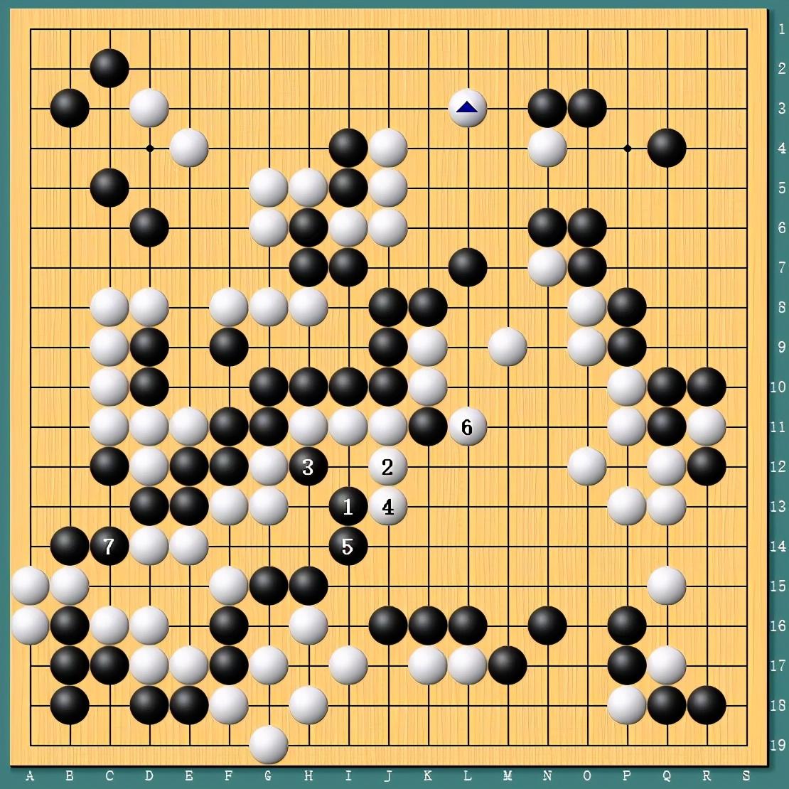王中王四肖一碼資料論壇，探索與解析，王中王四肖一碼資料論壇，深度探索與解析