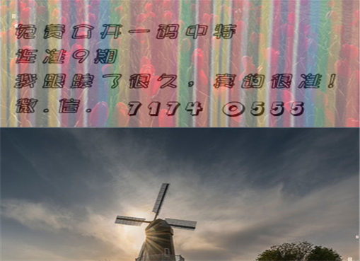 王中王四肖三期必出一期，揭秘彩票背后的秘密策略與技巧，揭秘彩票策略與技巧，王中王四肖三期必出一期之道