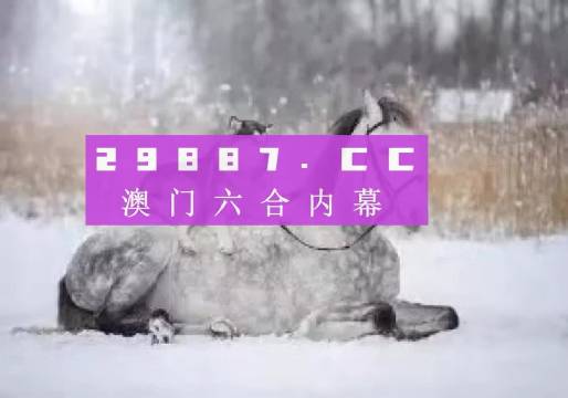 澳門正版精準(zhǔn)資料，探索未來的趨勢與機(jī)遇（2024年展望），澳門正版精準(zhǔn)資料揭秘，未來趨勢與機(jī)遇展望（2024年）