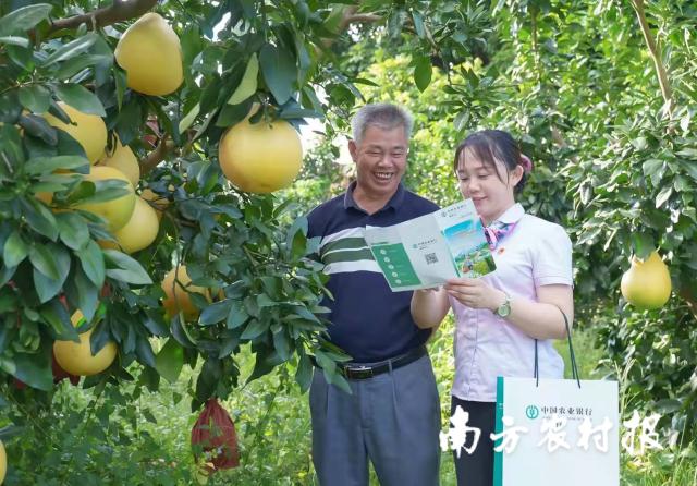 資料大全正版資料2025，一站式獲取所有你需要的信息，資料大全正版資料2025，一站式獲取所有信息總匯