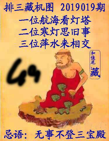 王中王019期指一生肖，深度解讀與SEO優(yōu)化策略，王中王019期生肖深度解讀與SEO策略優(yōu)化指南