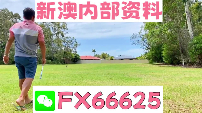 王中王一碼二肖，揭秘背后的秘密，揭秘王中王一碼二肖背后的秘密