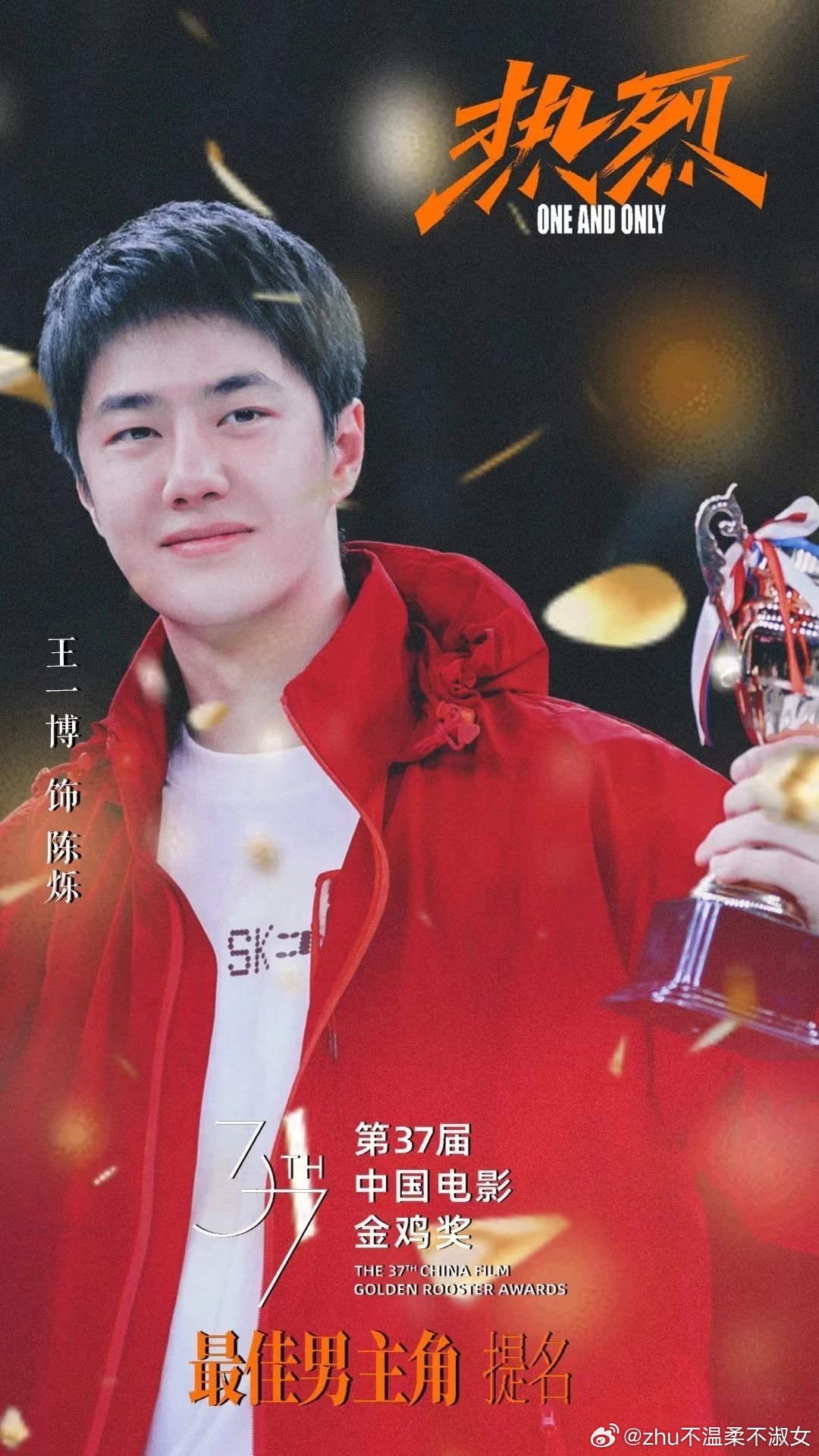 王中王一肖一特一中一中，探尋背后的故事與奧秘，探尋王中王一肖背后的故事與奧秘