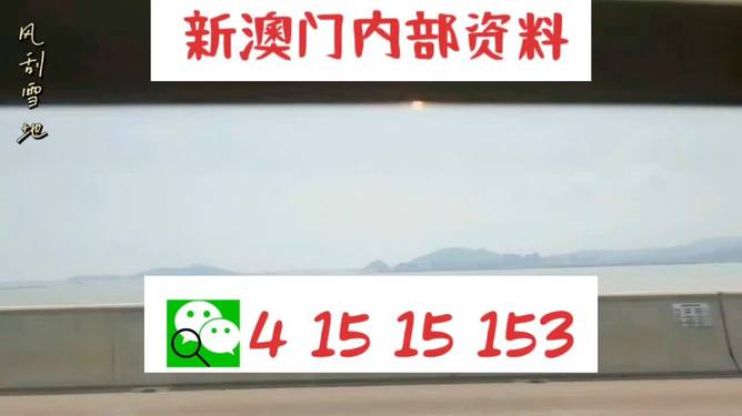 新澳2025最新資料生肖，深度解析與預(yù)測(cè)展望，新澳2025最新生肖資料深度解析與未來(lái)預(yù)測(cè)展望