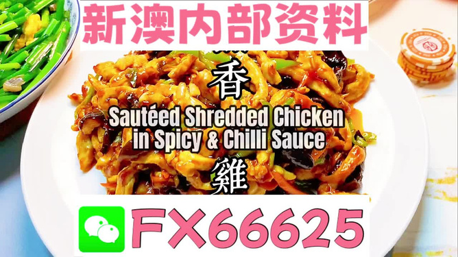 探索未來，揭秘2025年全新免費資料大全新奧精的來源與免費共享趨勢，揭秘未來，2025年全新免費資料的共享趨勢與來源探索