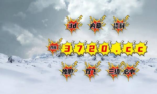揭秘4887王中王精準(zhǔn)資料，全方位解讀，讓你贏在起跑線，揭秘王中王精準(zhǔn)資料，全方位解讀助你贏在起跑線