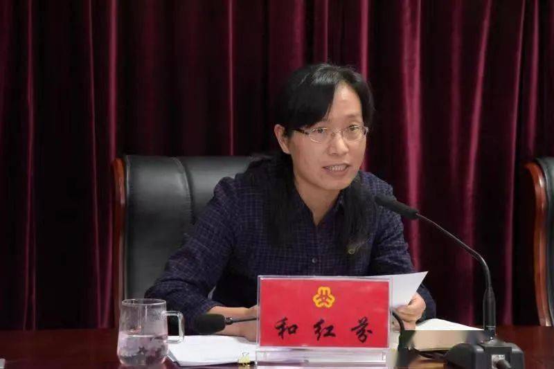 二四六香港期期中的資料解析與SEO優(yōu)化策略，香港期期二四六資料解析與SEO優(yōu)化策略探討
