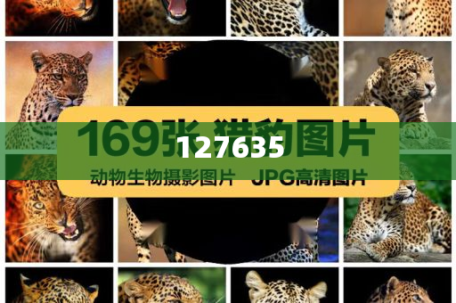 精準(zhǔn)新傳真，揭秘?cái)?shù)字組合7777788888的神秘面紗，揭秘?cái)?shù)字組合7777788888的神秘面紗，精準(zhǔn)新傳真解讀