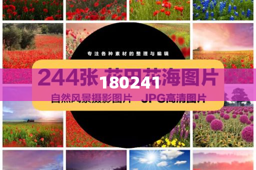 揭秘精準(zhǔn)管家婆狗，77777與88888的神秘面紗，揭秘精準(zhǔn)管家婆狗，神秘?cái)?shù)字77777與88888背后的秘密