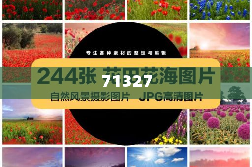探索777788888管家婆網(wǎng)，一站式解決方案的綜合服務(wù)平臺(tái)，一站式解決方案的綜合服務(wù)平臺(tái)，探索777788888管家婆網(wǎng)