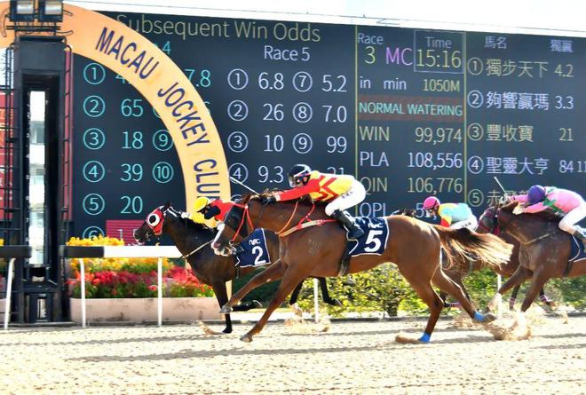 澳門馬免費(fèi)料期期公開，探索背后的真相與秘密，澳門馬免費(fèi)料期期公開背后的真相與秘密探索